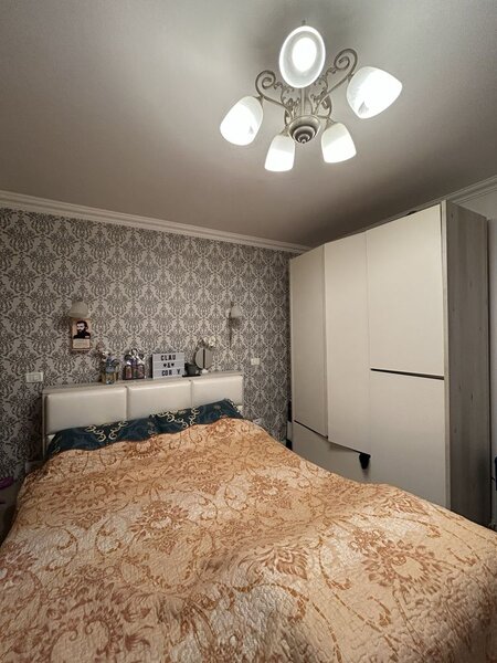 Colentina, Rau Bacila, Mc.Donald's vav Anl