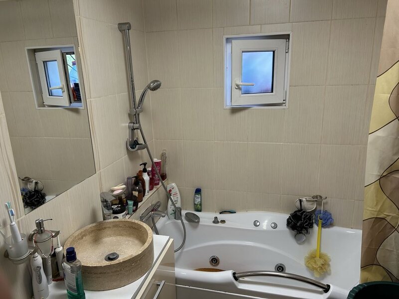 Colentina, Rau Bacila, Mc.Donald's vav Anl