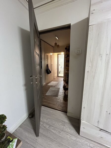 Colentina, Rau Bacila, Mc.Donald's vav Anl